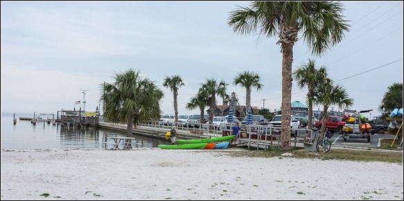 Kayak Cedar Key-2