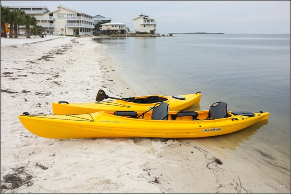 Kayak Cedar Key-5